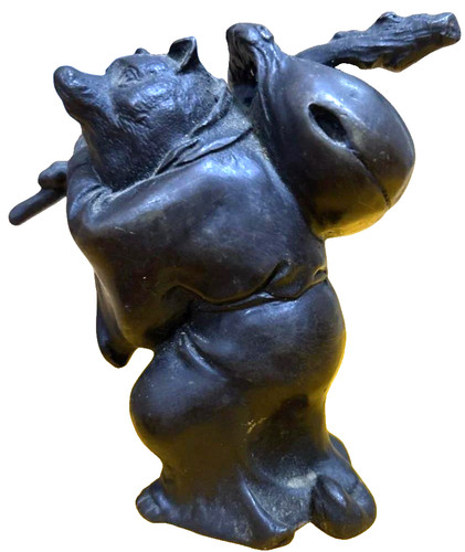 Tanuki procione cane - procione,