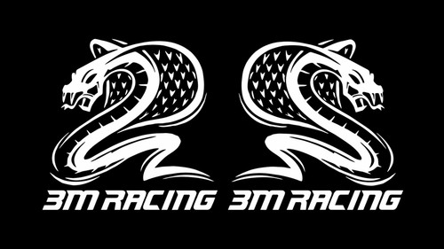 Coppia adesivi racing - coppia,