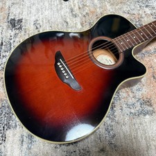 Chitarra elettrica acustica
