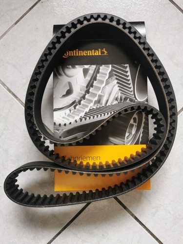 Cinghia trasmissione dentata