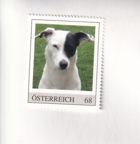 Francobollo austria cani - francobollo,