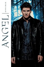 Angel Omnibus by David