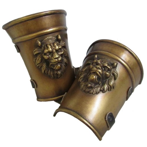 Braccetti leone classici - braccetti,