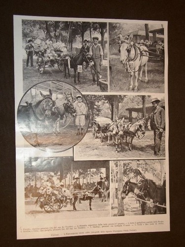 Firenze nel 1903 - , l'esposizione