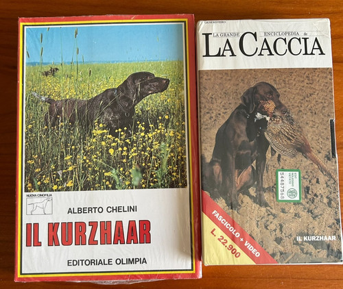 Kurzhaar nuova cinofilia - kurzhaar,