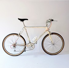   Denti anno 1989 mtb