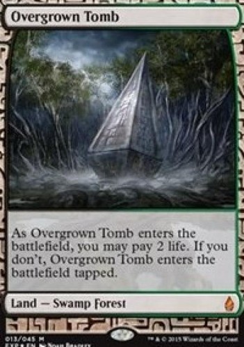 Mtg tomba inglese overgrown - tomba,