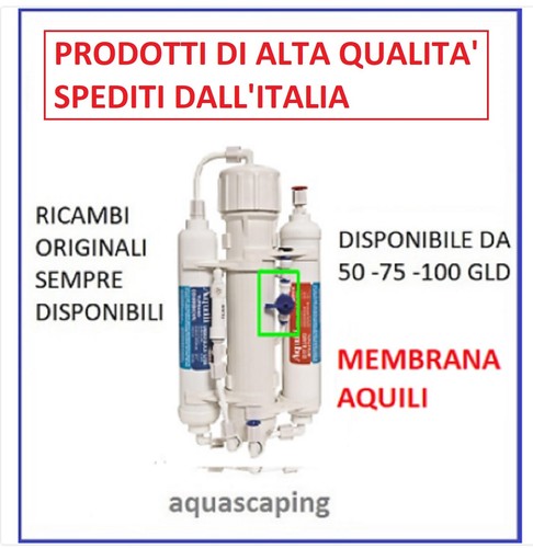 Classic aquili - ro,