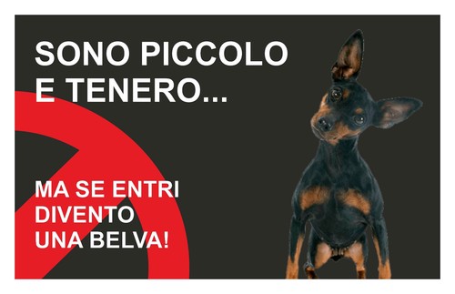 Targa cartello attenti cane - targa,