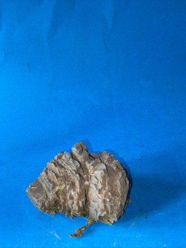 Pietra naturale suiseki