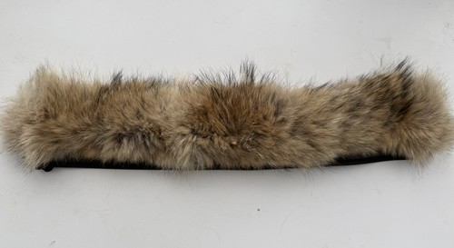 Canada goose originale - goose,