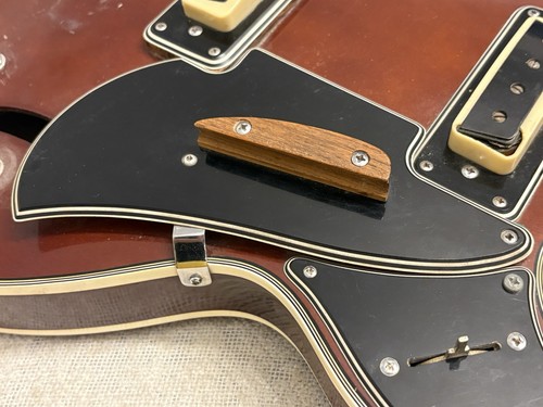 Vintage archtop bass pickguard - archtop,