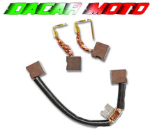 KIT SPAZZOLE MOTORINO