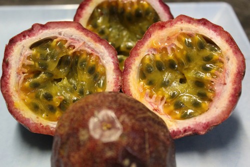 Passiflora edulis flamenco - edulis,
