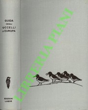 PETERSON Roger - MOUNTFORT Guy