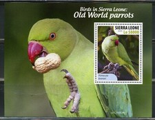 Sierra Leone 2020 Vecchio