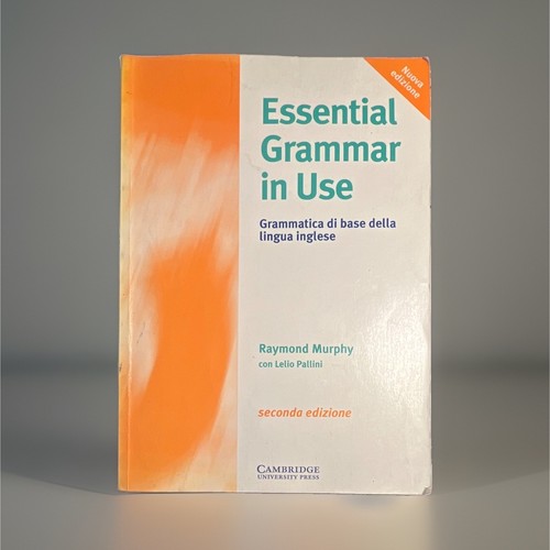 Cambridge essential grammar - essential, in