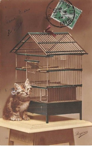 Gatti 76989 gattino - -,