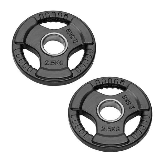 Coppia dischi olympic bumper - dischi,