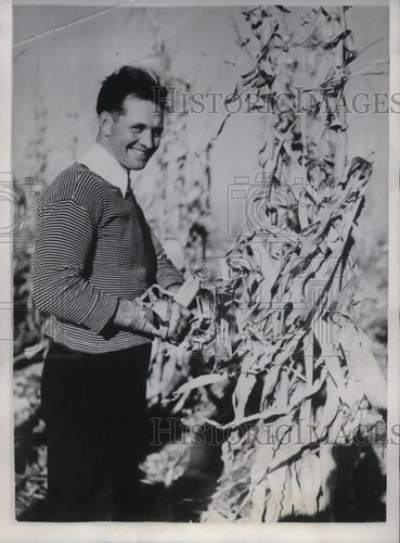 1933 foto stampa clarence - stampa,