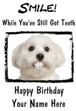 Maltese Dog A5 Personalised