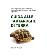 Tartarughe di terra: guida