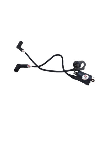 Bobine accensione ducati - accensione,