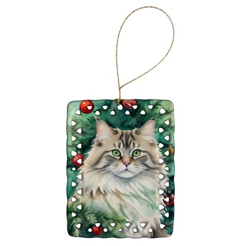 Gatto siberiano dall - 'albero, di
