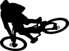 Adesivo decalcomania motowhip