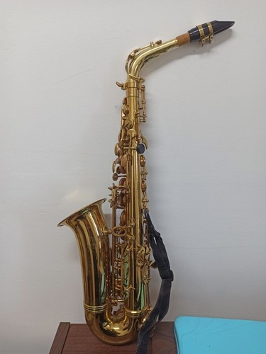Sax contralto maxtone oro - maxtone,