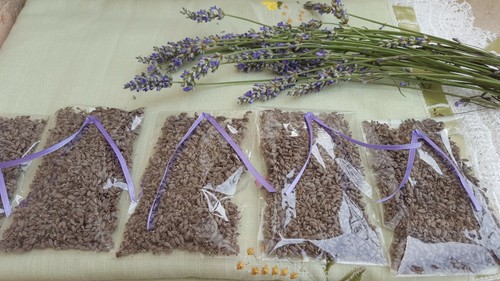 LAVANDA-PER-LANCIO