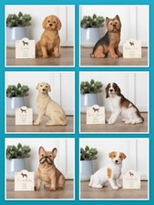 Vari ornamenti per cani in