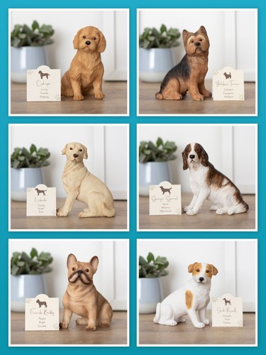 Vari ornamenti per cani - , in