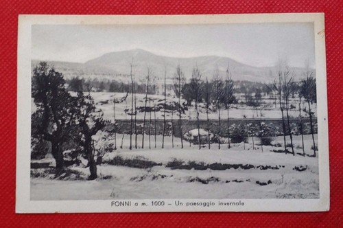 Cartolina fonni un - cartolina,
