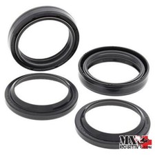 KIT PARAOLI E PARAPOLVERE