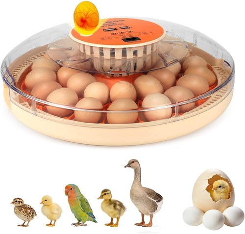 Incubadora huevos - de,