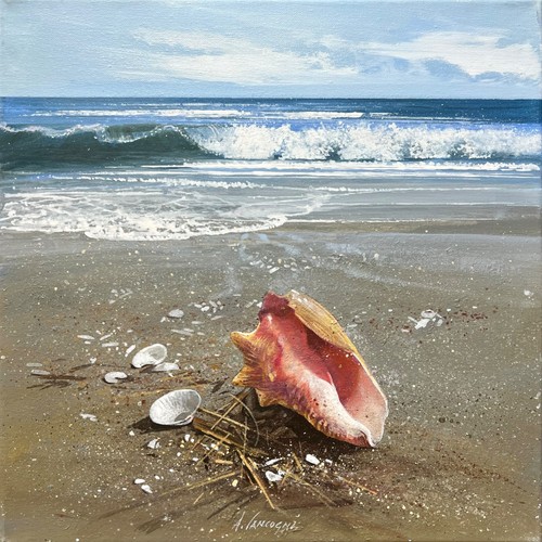 Agostino cancogni marina - cancogni,