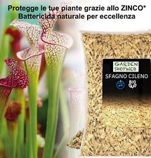 Sfagno per Orchidee, Piante Carnivore, Bonsai, Kokedama, Ideale per Idrocoltura