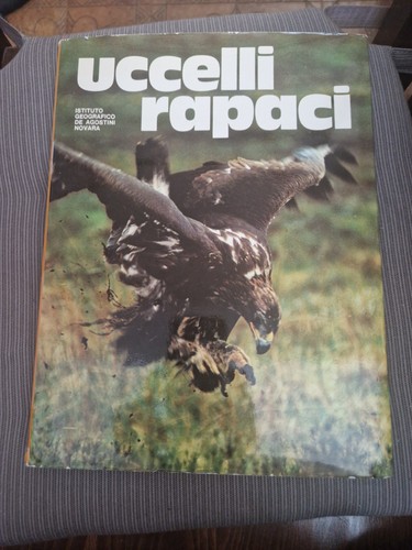 Uccelli rapaci michael everett - rapaci,