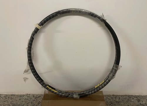 Campagnolo omega coppia cerchi - campagnolo,