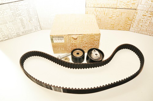 Kit cinghia distribuzione - cinghia,