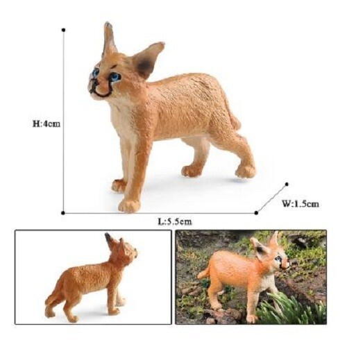 Mini gatto caracal piedi - in,