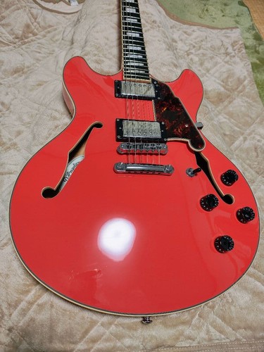 Chitarra elettrica acustica