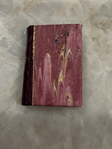 Micro miniature book dog - a,