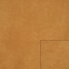 Wellcraft Barche Ultrapelle |