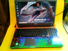 Sony Vaio SW RAPTOR
