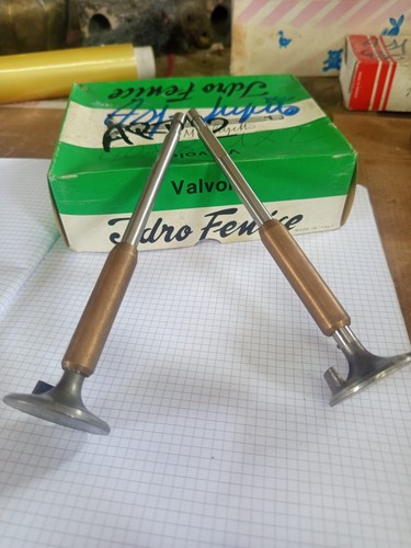 Lupetto valvola - 1x,
