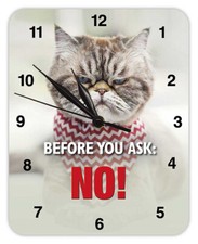 Bevore you ask: NO! (Cat) -