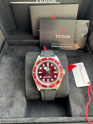 2026 tudor black bay - 2026,