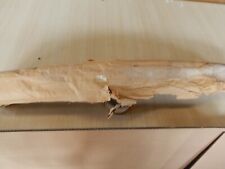 PARAURTI ANTERIORE PORZIONE CENTRALE RICAMBIO NUOVO DELL'EPOCA FIAT 124 COUPE